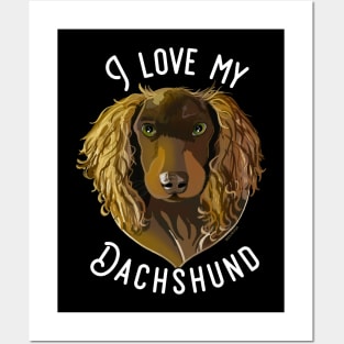 I Love My Dachshund Posters and Art